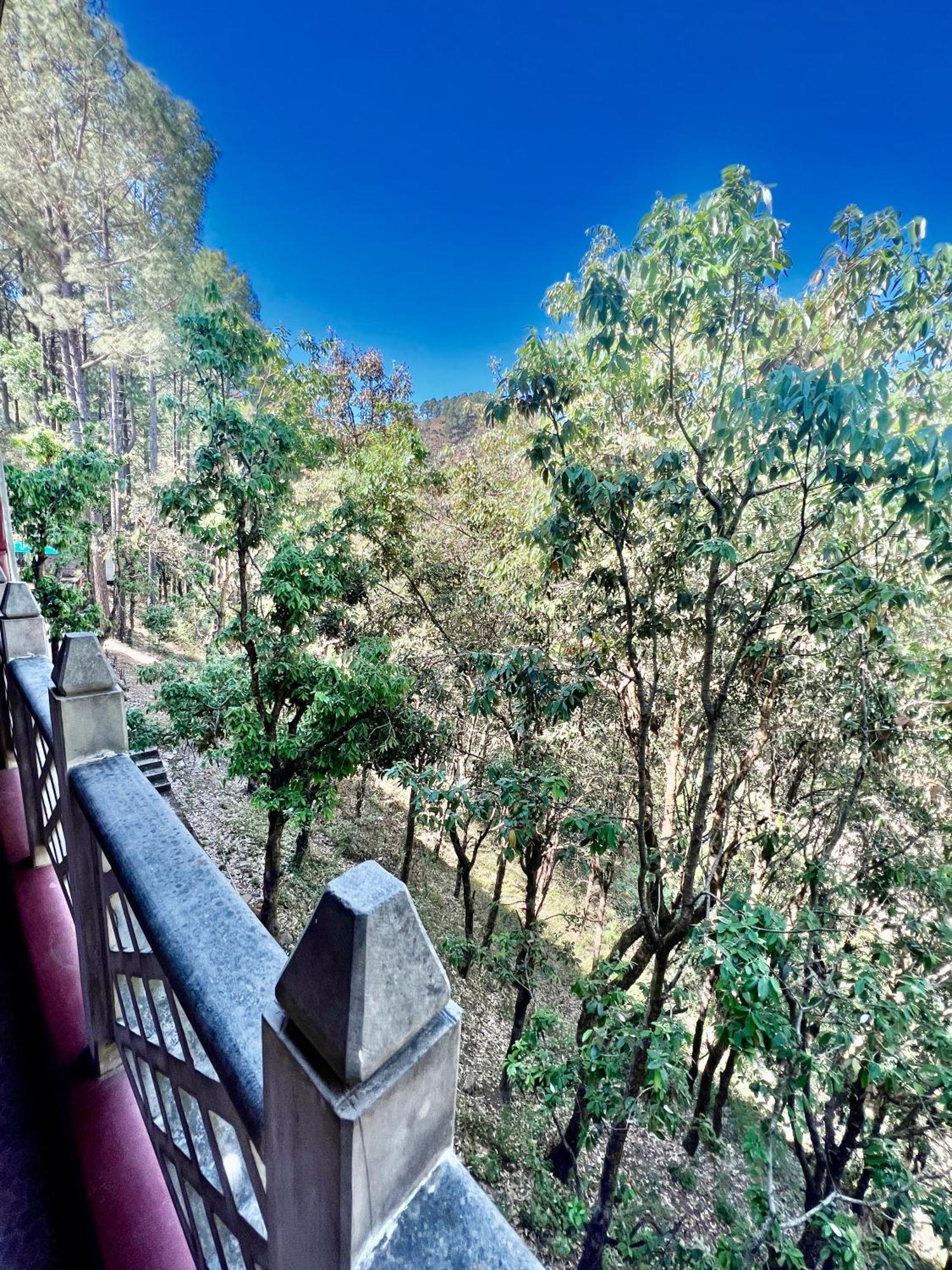 Sea Hawk - Luxury Hill Resort 4 Mins From Bhimtal Lake Exterior foto